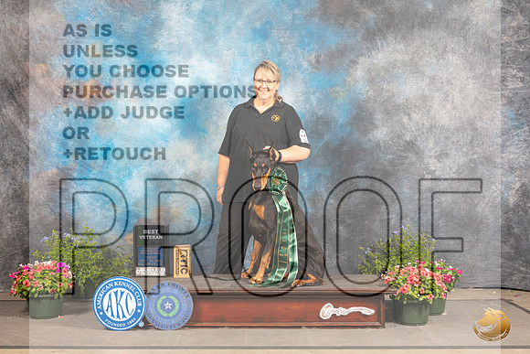 Doberman Pinscher #40 Fri BV Judge Cynthia Woodward_MJ_0083_SA_2022_HR3
