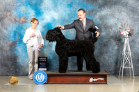 Black Russian Terrier #5 Thur G4 Judge Sharon Derrick