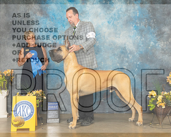 Great Dane #5 Fri G1 Judge Cathy Daugherty-MMJ_9659-NWARK2022-HR3