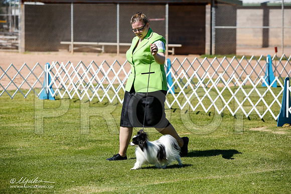 _JJ_5046-AlamogordoOct2014-HR3