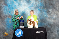 Shih Tzu #11 Sat WDBOW Judge Carol Pyrkosz