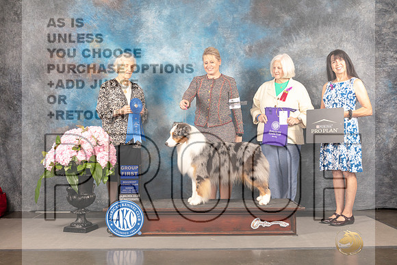 Australian Shepherd #55 Sun G1 Judge Janet Fink_MJ_8274_Houston_2022_HR3