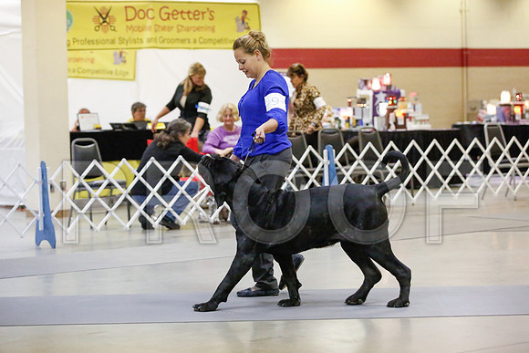 _JN_6826-AmarilloSept2014-HR3