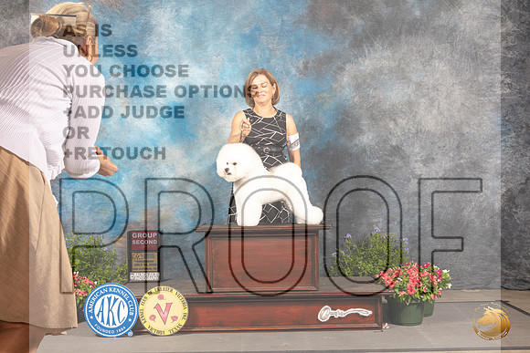 Bichon Frise #7 Thur G2 Judge Michael Canalizo_MJ_0010_SA_2022_HR3