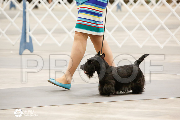 _CK_7020-AblnMay2014-web