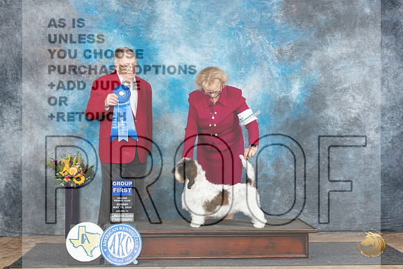 PBGV #6 Sun G1 Judge Dr Don Gill__JP_0031_Abilene_2024_HR3