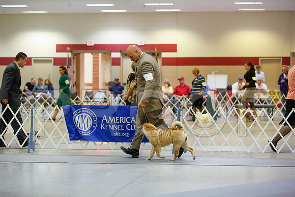 _JN_0503-AmarilloSept2014-HR3