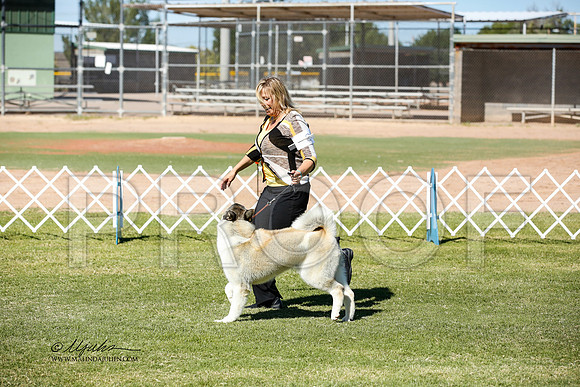 _JN_0641-AlamogordoOct2014-HR3