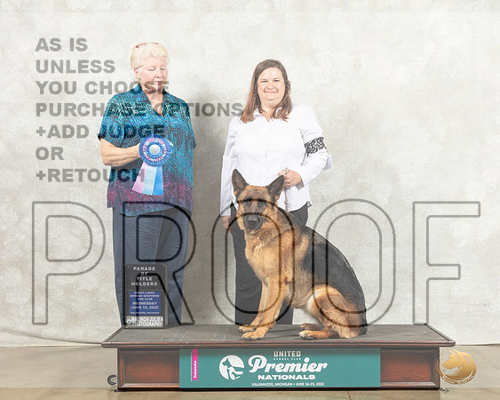 German Shepherd Dog #211 Wed POC Judge Karen Cattin_MMJ_6651_Premier_2022_HR3