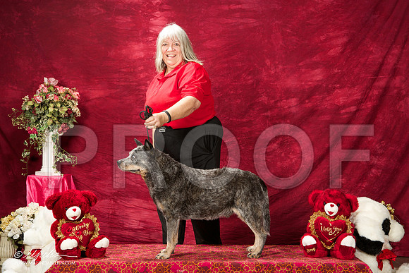 _ST_2929-BeltonJan2015IABCA-HR3