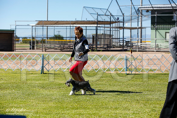 _JN_4641-AlamogordoOct2014-HR3