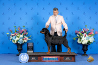 Rottweiler #? THUR RWB Judge Nancy Liebes