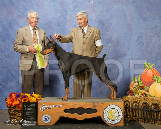 _CL_4652-SanAngelo2014-HR3