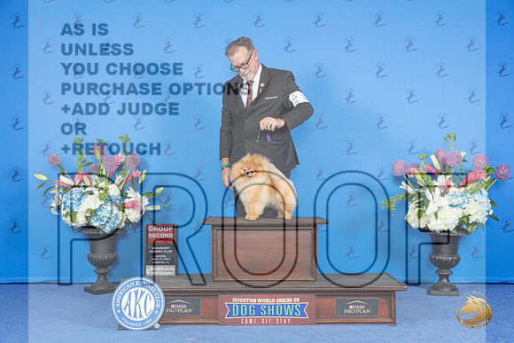Pomeranian #15 SUN G2 Judge Douglas Johnson__JP_0918_Houston_2024_HR3