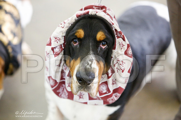 _JJ_3431-DallasJul2014-HR3