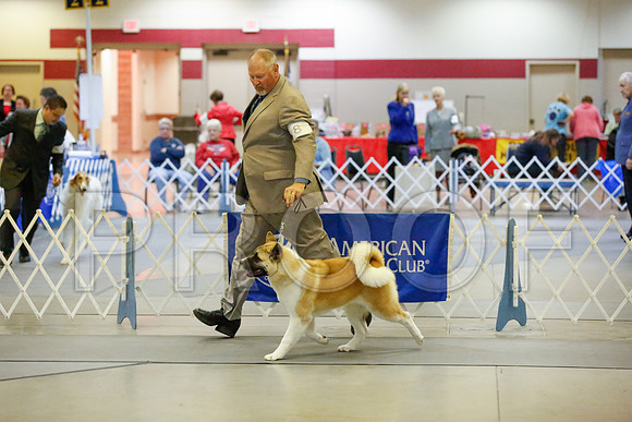 _JJ_6952-AmarilloSept2014-HR3