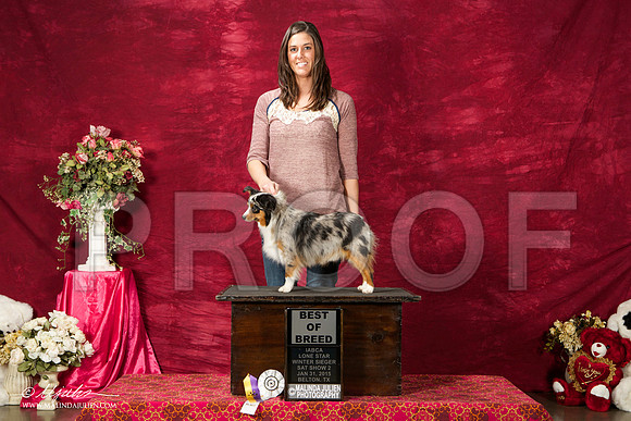 _ST_2636-BeltonJan2015IABCA-HR3