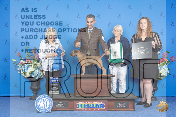 Border Terrier #9 SUN G1 Judge Nancy Liebes__JP_0742_Houston_2024_HR3