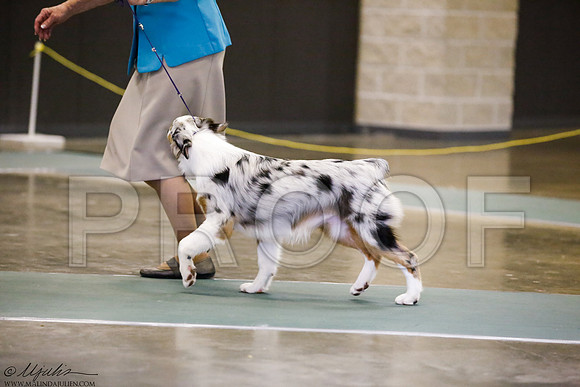 _J3L3604-BeltSep2014-HR