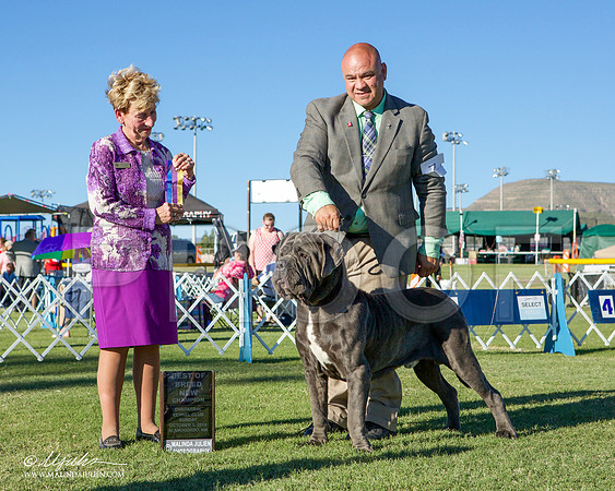 _ST_3463-AlamogordoOct2014-HR3