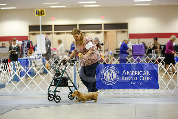 _JN_0014-AmarilloSept2014-HR3