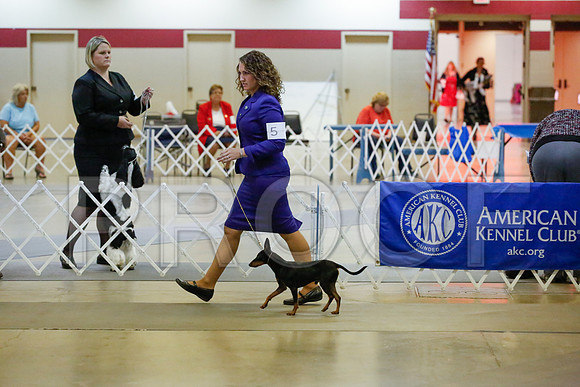 _JJ_0453-AmarilloSept2014-HR3