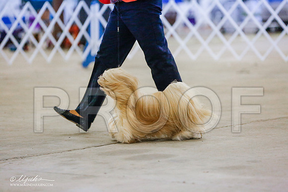 _RH_0726-AlamogordoOct2014-HR3