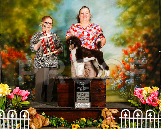 _ST_3939-2-DentonMar2015-HR3