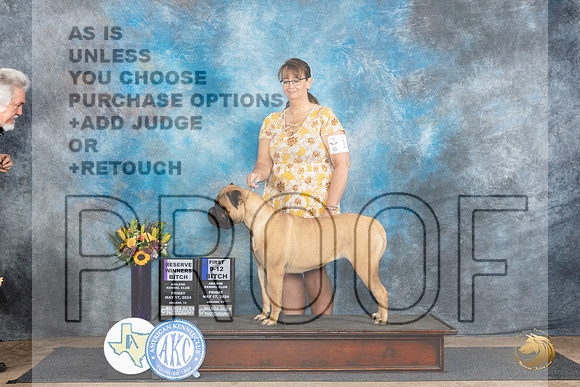 Bullmastiff #10 Fri RWB1 Judge Rick Gschwender__JP_9156_Abilene_2024_HR3