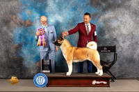 Akita #20 WED BISS Judge Donald Plummer