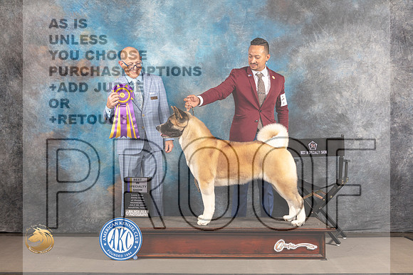 Akita #20 WED BISS Judge Donald Plummer_MJ_2291_Houston_2022_HR3