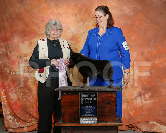 _ST_2349-2-CarlrolltonSept2014-HR3