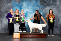 Abby McMillin UKC Longview Oct 2024