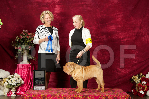 _ST_2657-BeltonJan2015IABCA-HR3