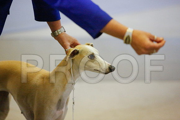 _JN_8399-AmarilloSept2014-HR3