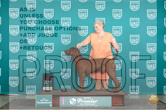 Redbone #1234 Thur SF Judge Deb Allen__JP_1185_Premier_2024_HR3