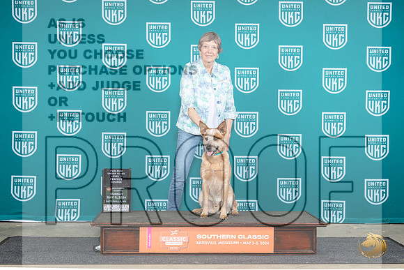 Australian Cattle Dog Sarah Anderson__JP_6735_BatesvilleMS_2024_HR3