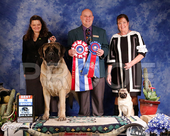 Mastiff-5734-GRJan14-HR