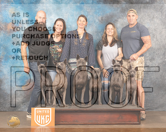 Thai Ridgeback FamilyMMJ_6048_Lngvw2022HR3