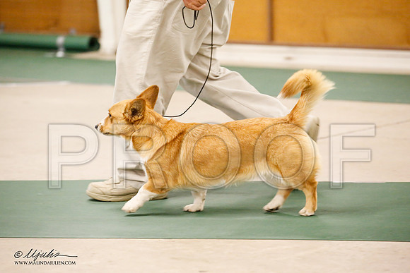 _JN_1820-NrmnNov2014-HR3