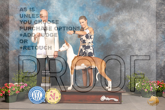 Ibizian Hound #6 Sat G4 Judge Allen Odom_MJ_0608_SA_2022_HR3