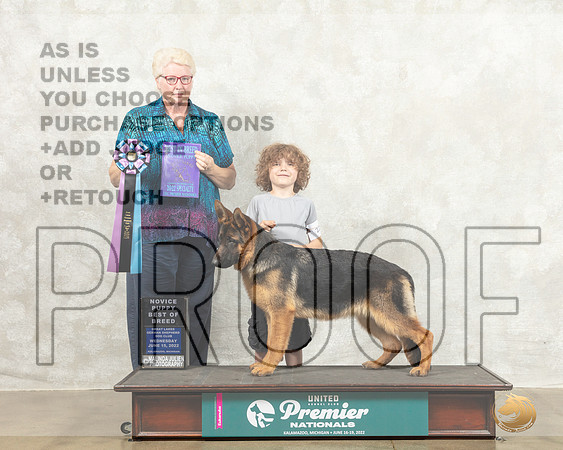 German Shepherd Dog #226 Wed NovPBOB Judge Karen Cattin_MMJ_6670_Premier_2022_HR3