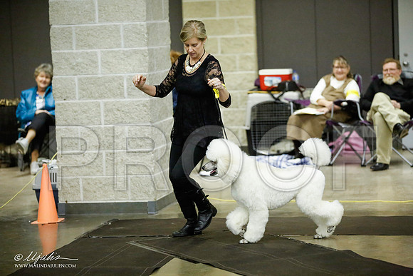 _JJ_5885-BeltonJan2015IABCA-HR3