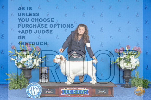 Clumber Spaniel #6 THUR BOB BOW M Judge Ann Yuhasz__JP_8378_Houston_2024_HR3
