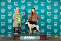 Whippet #578 Sun G3 Judge Diane Price