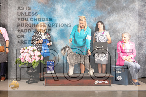 Schnauzer Std #17 Thur G1 Judge Karen McFarlane_MJ_4610_Houston_2022_HR3