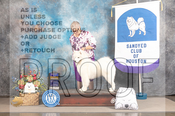 Samoyed #10 FRI BOB Judge John Wade_MJ_5258_Houston_2022_HR3