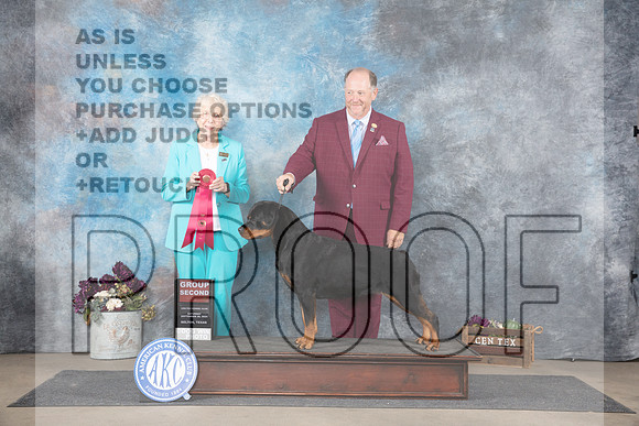 Rottweiler #10 Sat G2 Judge Sulie Greenndale-Paveza__JP_7417_Belton_2024_HR3