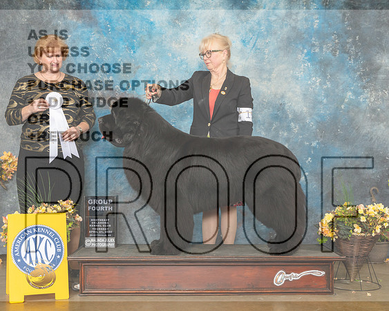 Newfoundland #5 Thur G4 Judge Betty Pollock-MMJ_9014-NWARK2022-HR3