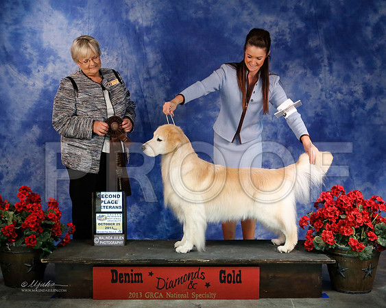 Vet-8363-WFOct2013-HR